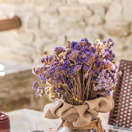 Tinos Cycladic House Kariá